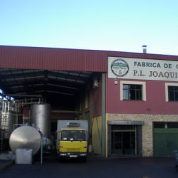 Quesos en Asturias